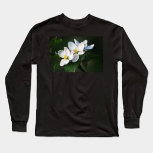 Blossom Time Long Sleeve T-Shirt